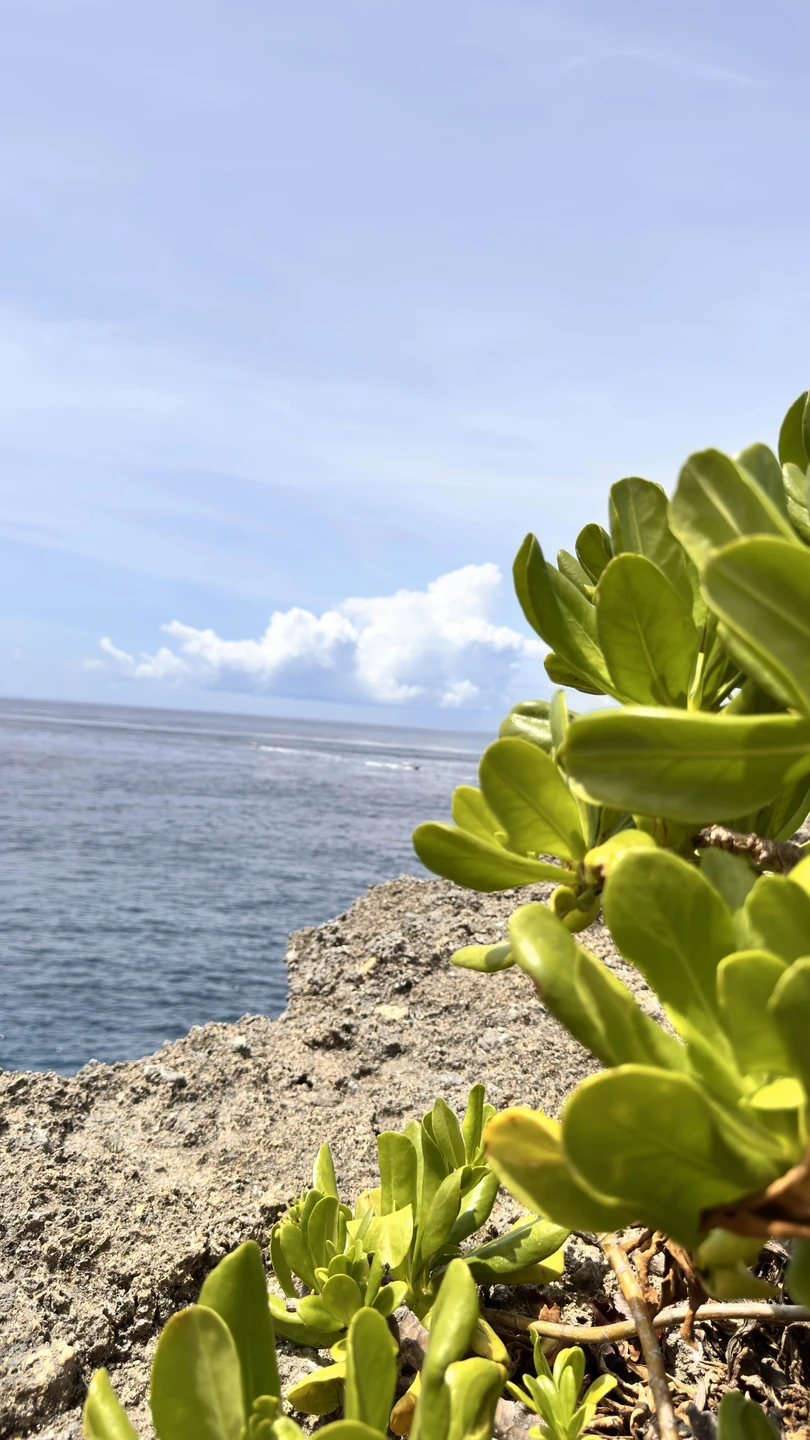 В первую очередь хотелось бы поблагодарить Эльдара и всю команду за организацию экскурсии на Нуса Пенида