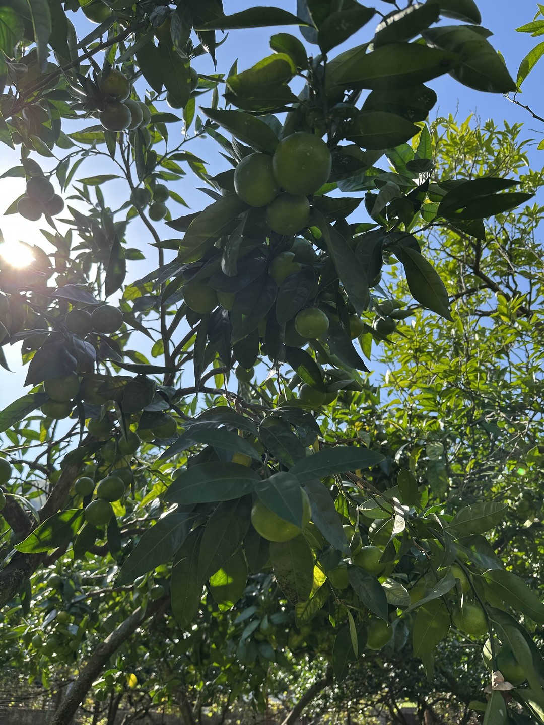 Я всегда путешествую ради еды. Все было замечательно! Вины натуральные, мясо и сыры - натуральные продукты. Рекомендую от души!