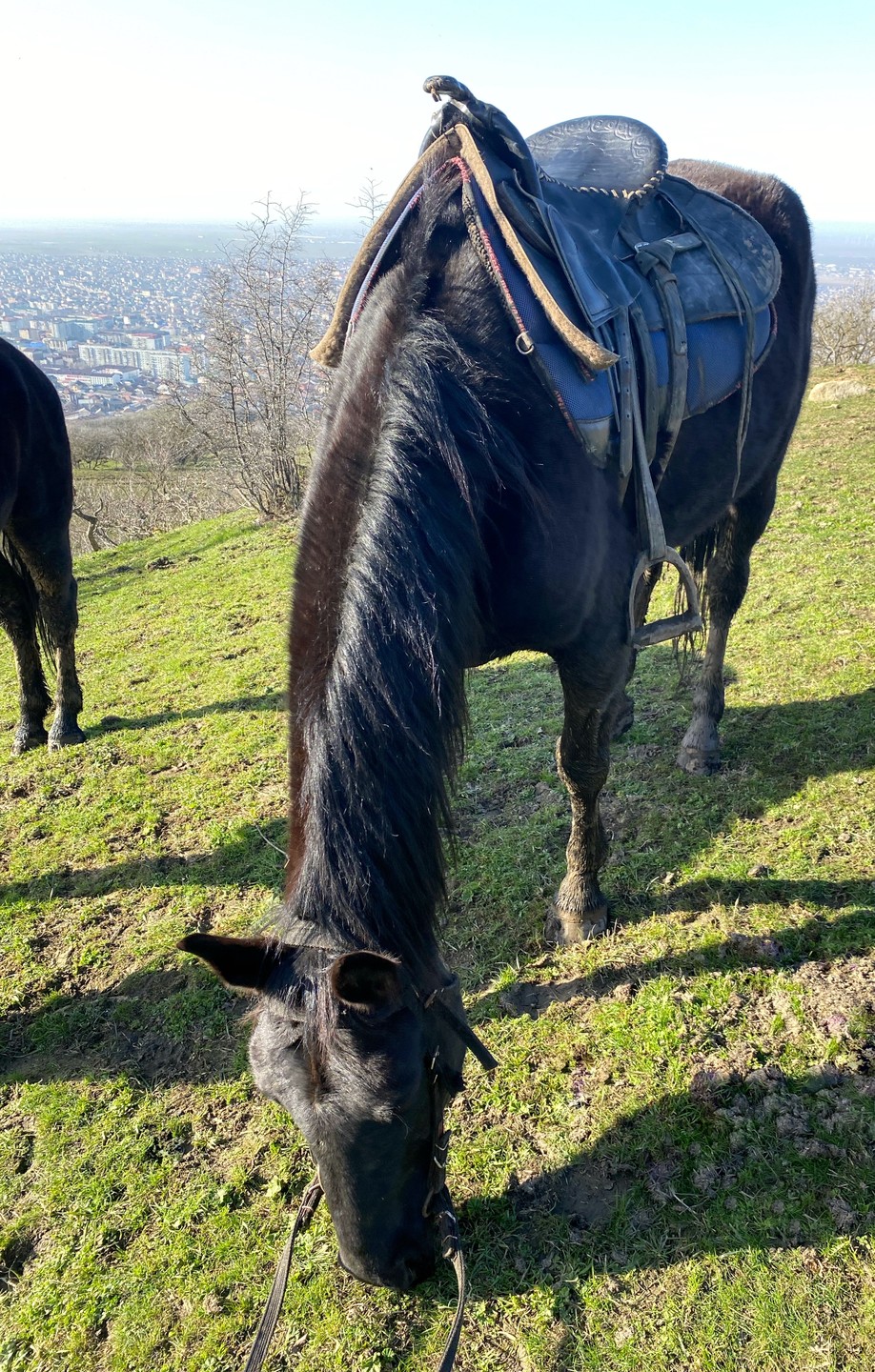 Прогулка прошла на высшем уровне