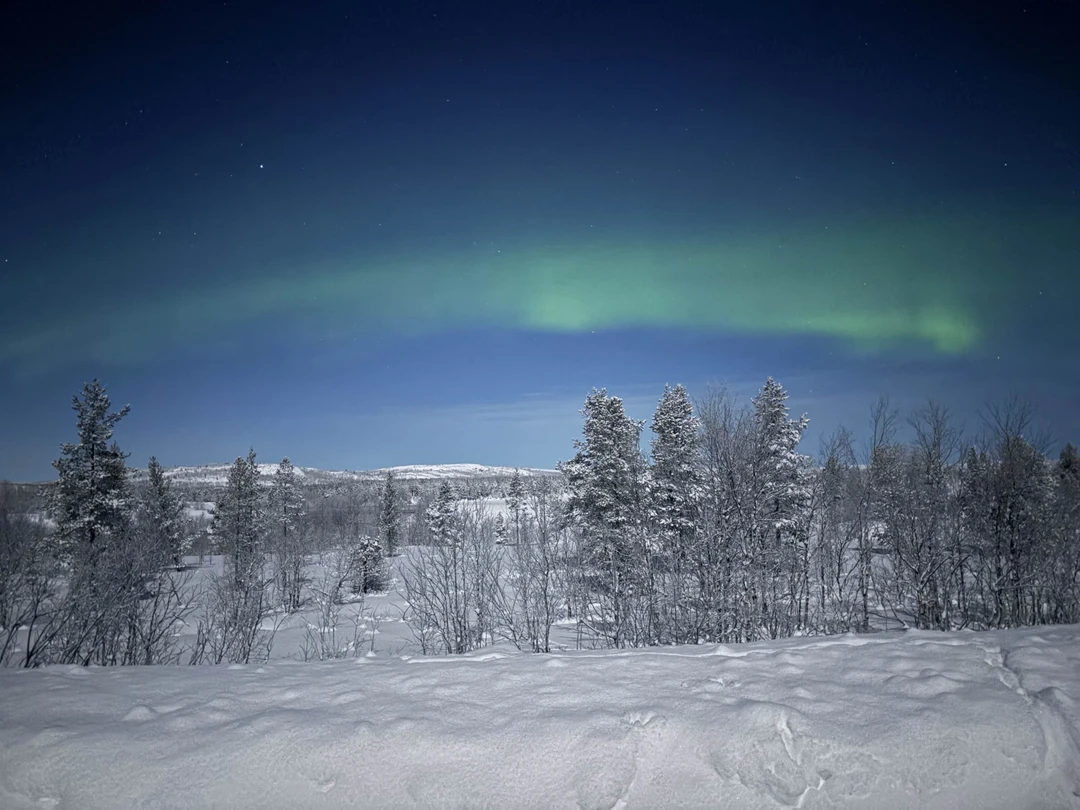 Очень понравилась новогодняя охота на сияние! Гиды точно знали куда ехать, на второй же остановке вышли