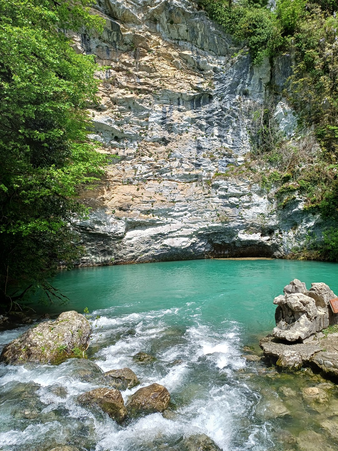 Спасибо за экскурсию! Только позитивные эмоции. Прекрасная природа! Доброжелательный, приятный экскурсовод