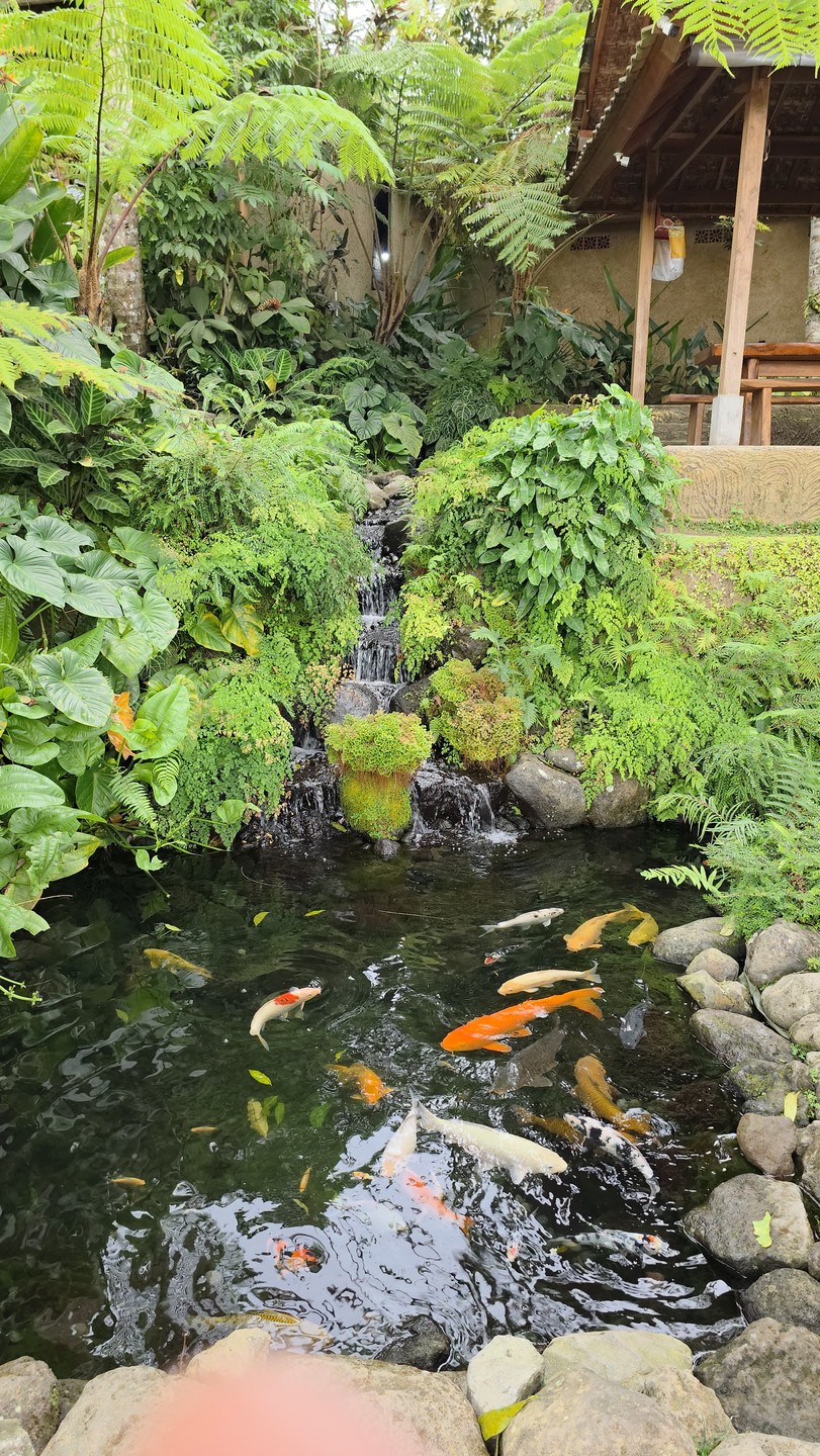 05.09.25 мы были на экскурсии на Бали с гидом Абу, и впечатления остались самые положительные! 🌴✨