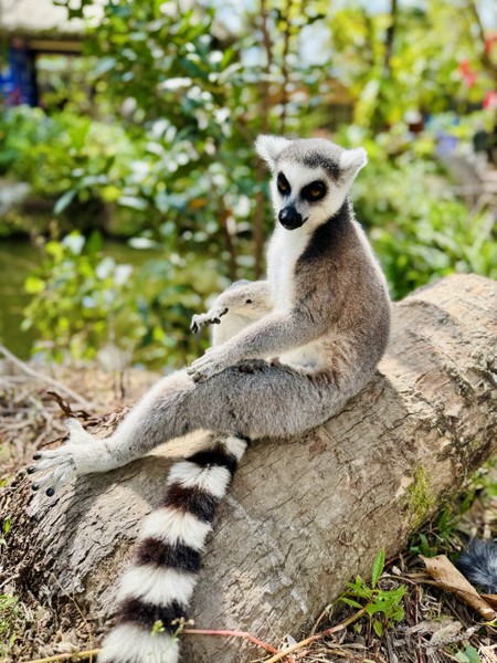 отличная прогулочная экскурсия! Экскурсич заняла 5 часов, как и было заявлено. Очень красивые виды открываются с