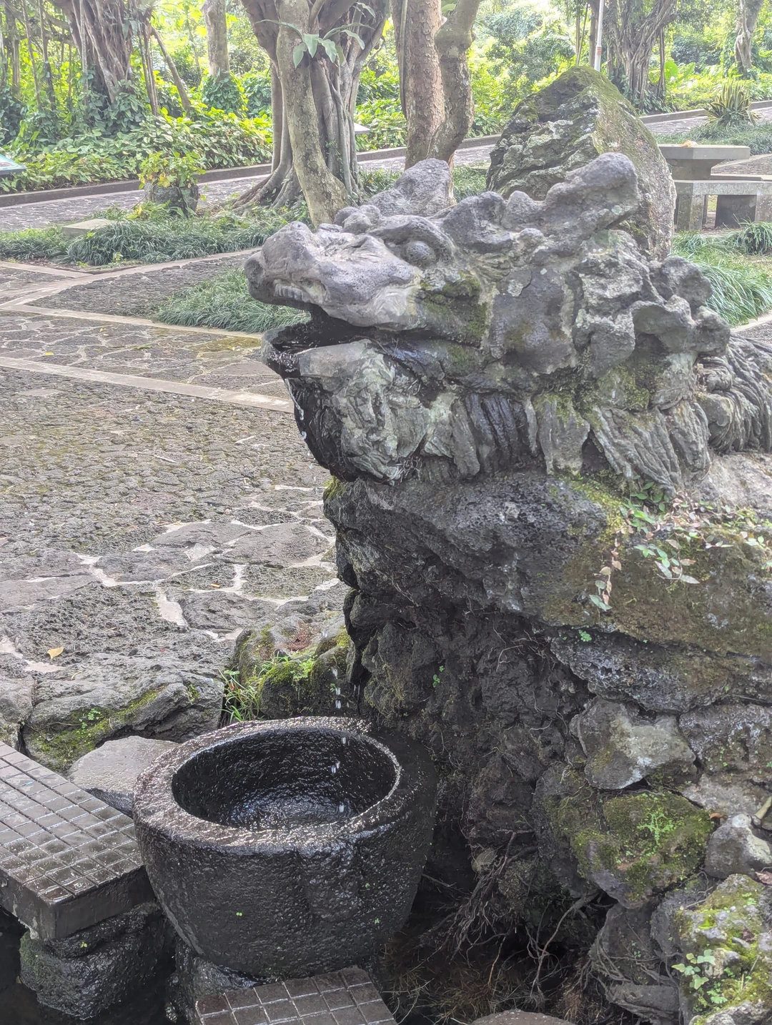 Ну поездка была не образовательная. Водитель, которые ехал с нами, хорошо говорил по русски, но это