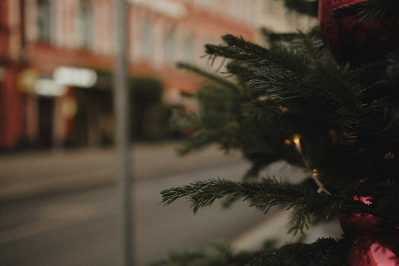 Виды Новогодняя фотоэкскурсия на Патриарших прудах