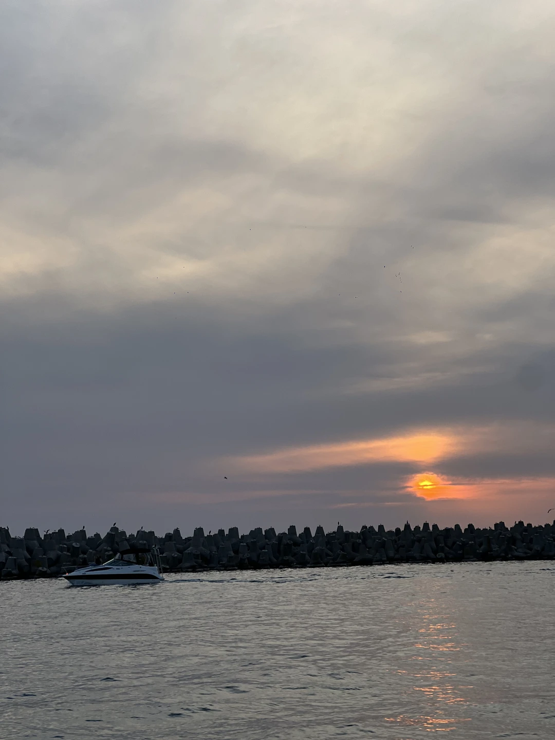 Отличная морская прогулка: от коммуникации с организатором до выхода на пирс после прогулки. «Катер» чистый - будьте готовы разуться:)