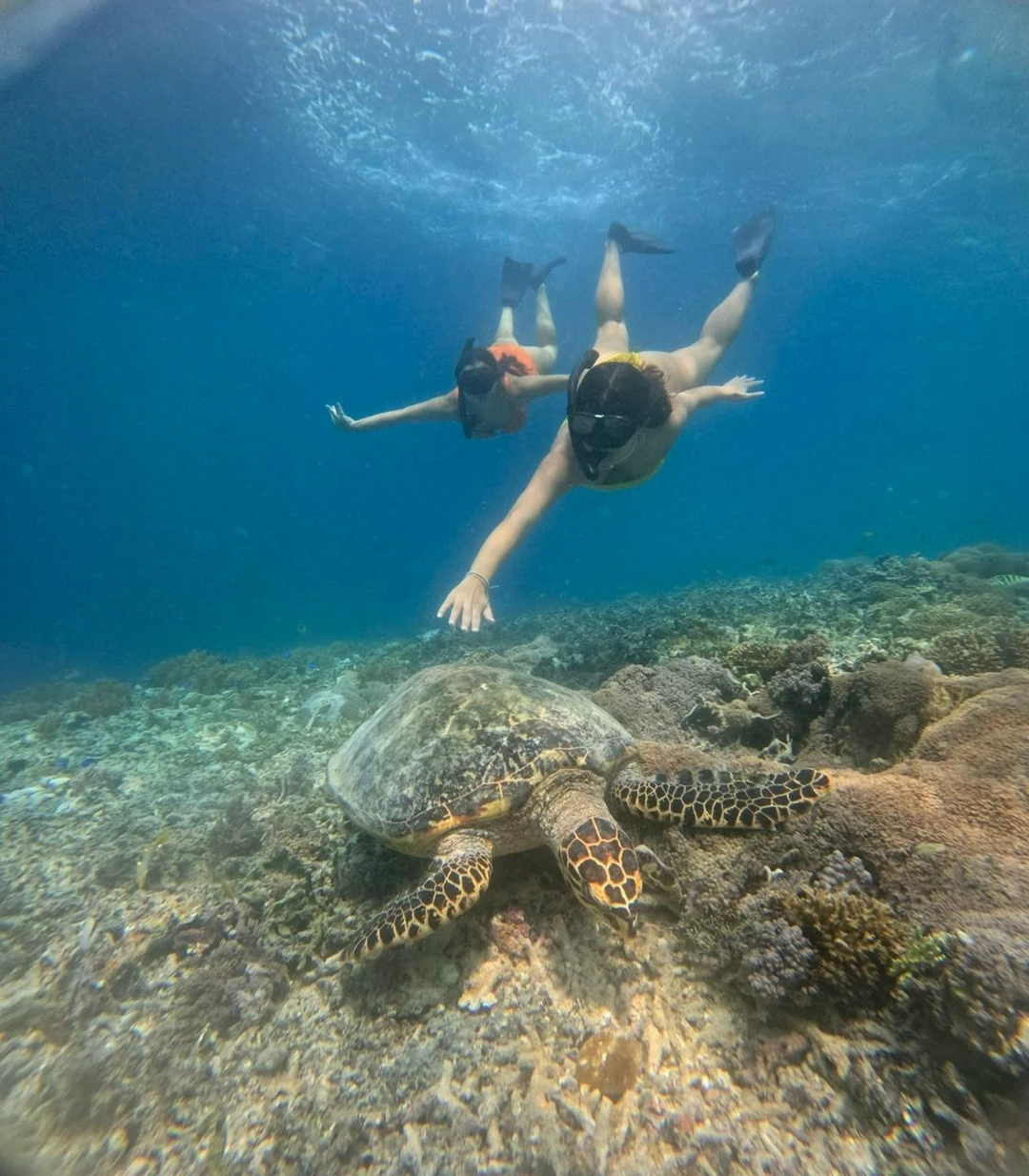 Все хорошо организованно, нас забрали из отеля и привезли туда же, сделали классные кадры на камеру