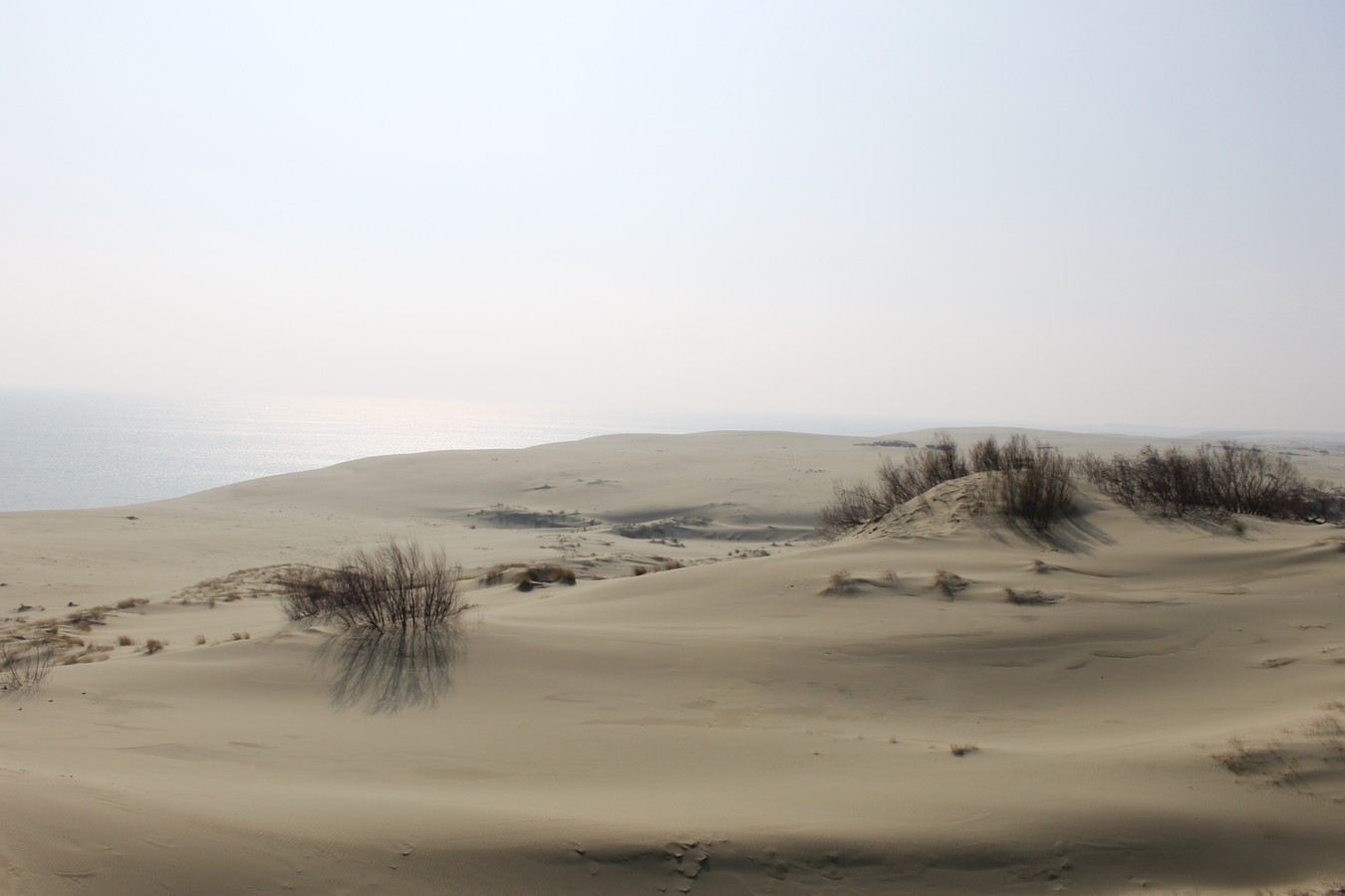 Из Калининграда - на Куршскую косу и в Зеленоградск