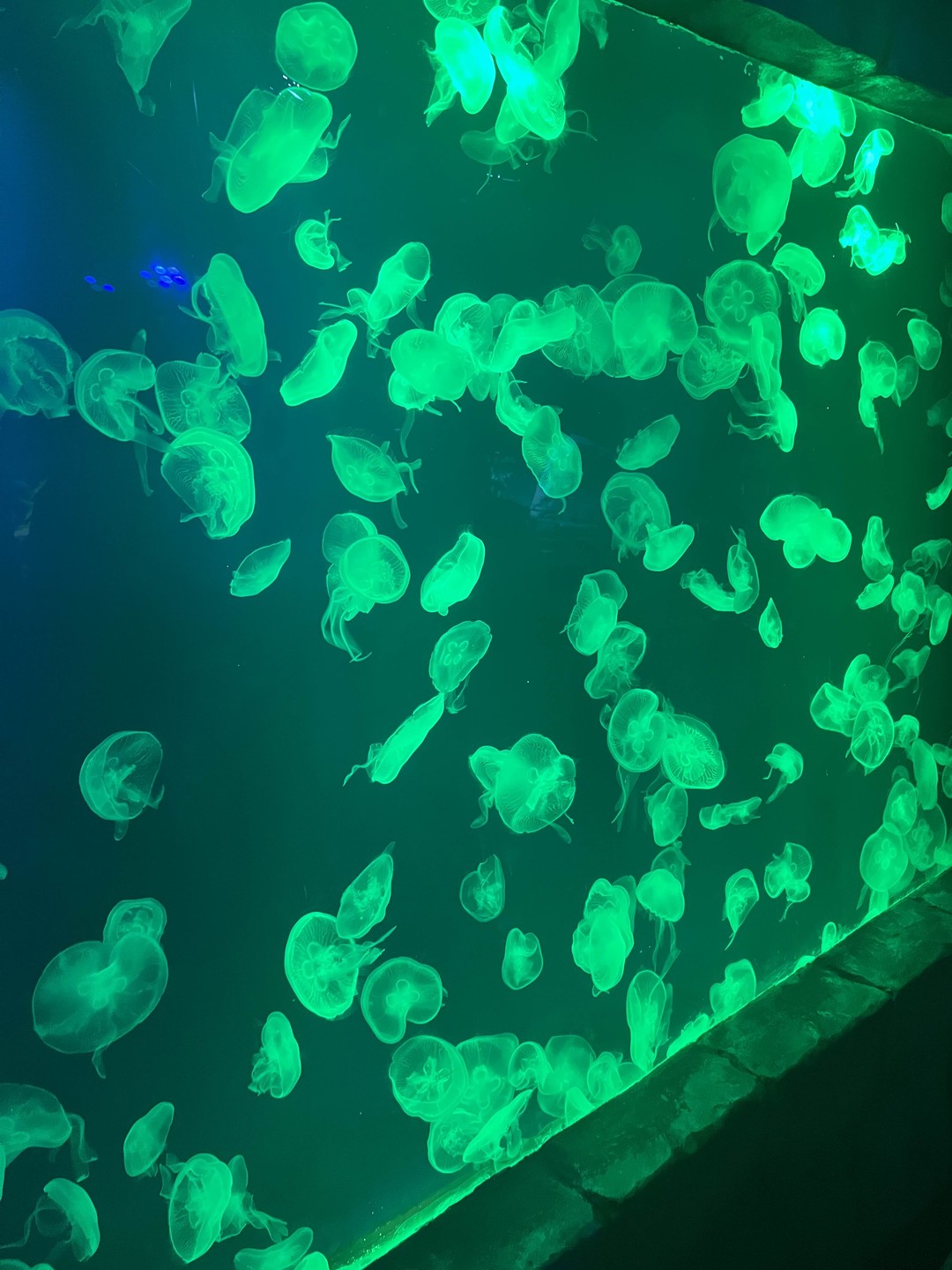 Одна из лучших экскурсий, которые я брала на трипстере. Осталась довольна по всем пунктам: Нодир еще