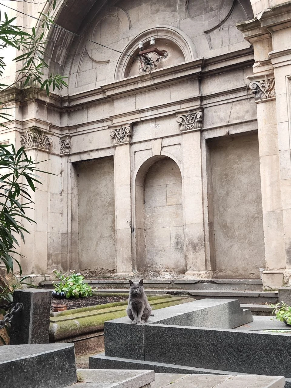 Экскурсия очень понравилось, видно, что гид любит свою работу и горит ею. Рассказ структурирован и понятен.