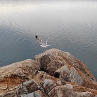 Фото отзыва 1: экскурсия "Ольхон — жемчужина Байкала (из Иркутска в мини-группе)"