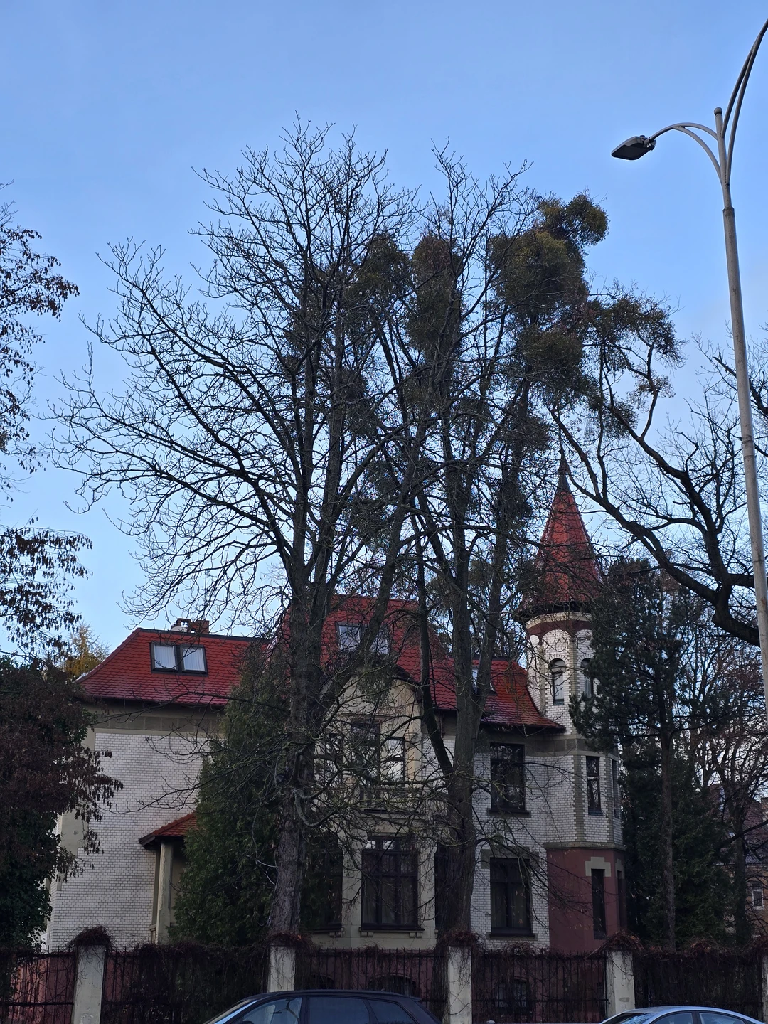 Хорошая экскурсия, много интересного, сам район прекрасен, спасибо.