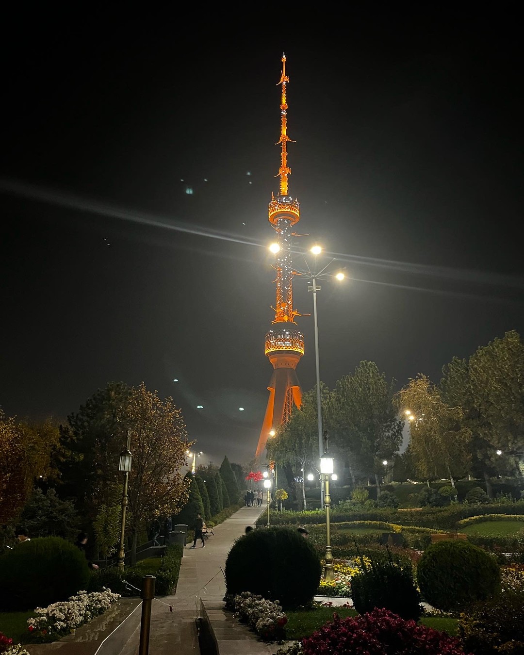 Огни ночного Ташкента (Светлана)