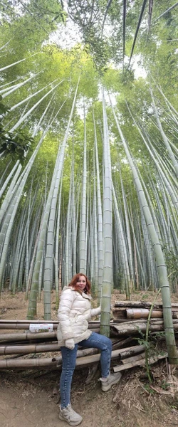 До Киото мы добирались на скоростном поезде из Токио. Равиль нас встретил прямо у выхода из