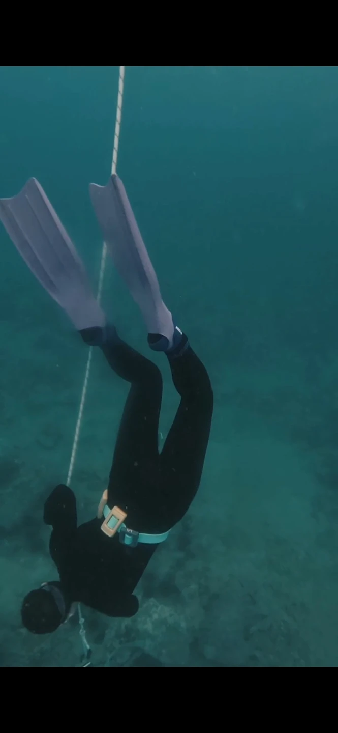 Прекрасное сопровождение в мир фридайвинга. Быстро, профессионально, чётко, понятно в общении, трансфере, инструктаже и самом погружении