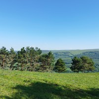 Фото отзыва 1: экскурсия "Выйду в луг и рощу с конём"