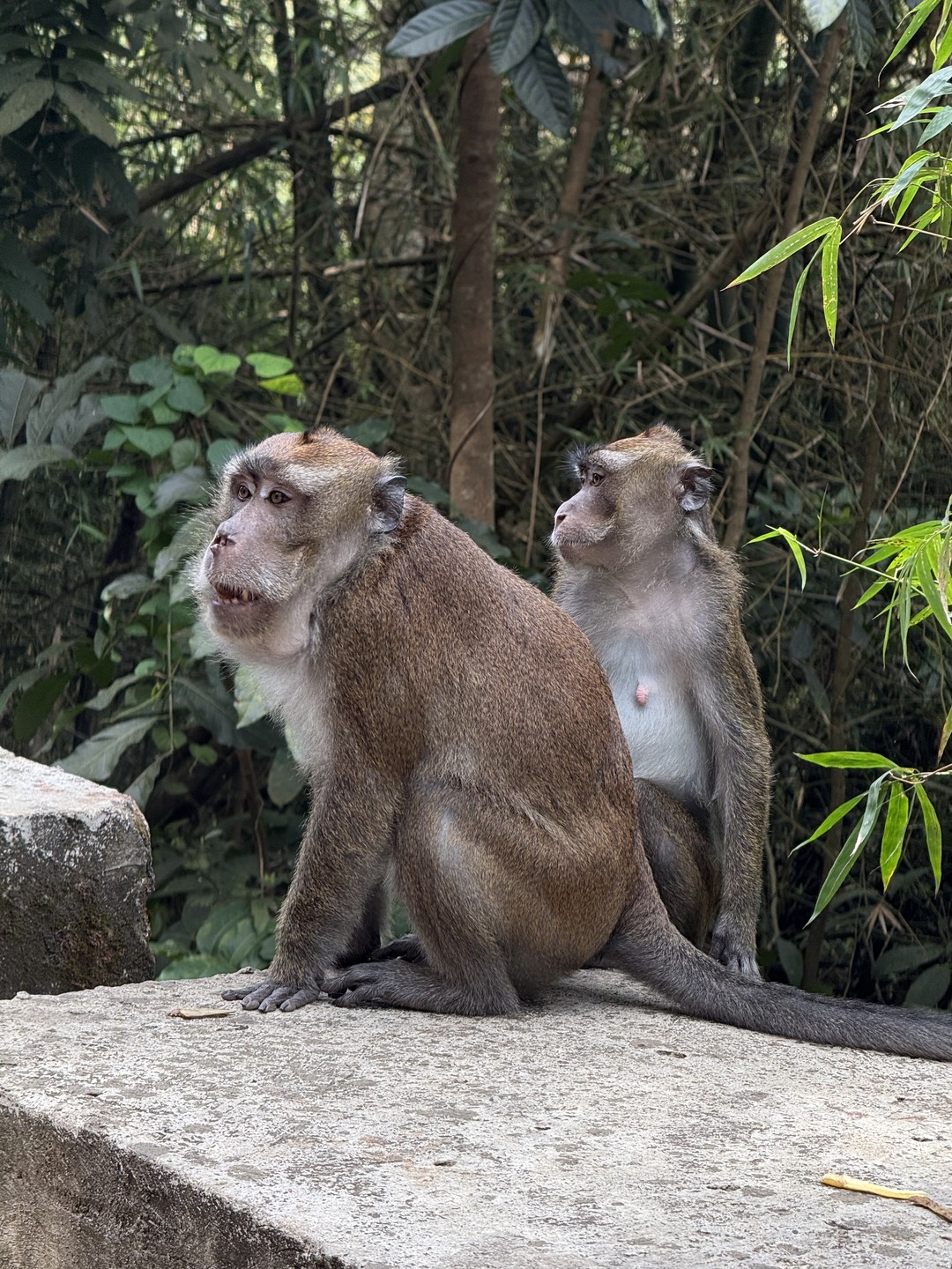 Евгению огромное спасибо, всё чётко организовано. Ездили на экскурсию по острову Лусон, всё что заявлено в
