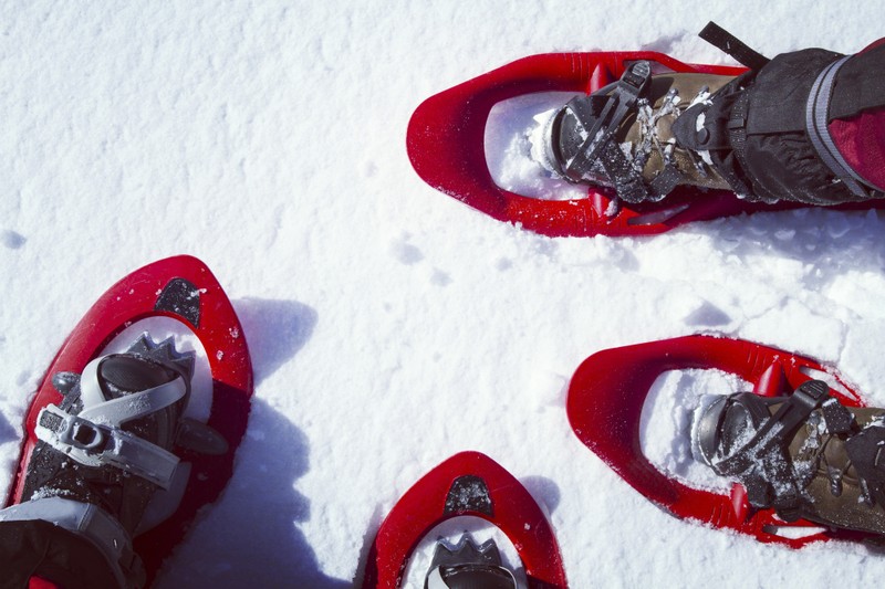 Виды На снегоступах по зимнему лесу!