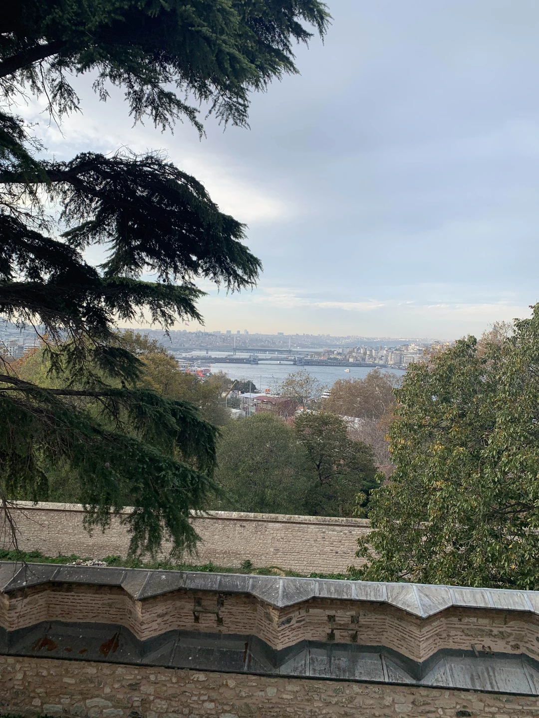 Экскурсовод имеет профильное образование и поэтому обладает глубокими знаниями в области истории и архитектуры. Путешествие было