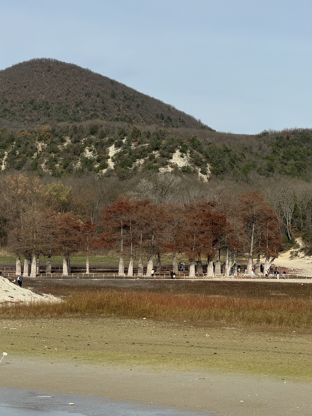 Юлия один из немногих очень хороших гидов! Бываю сама много где и сравнить есть с кем