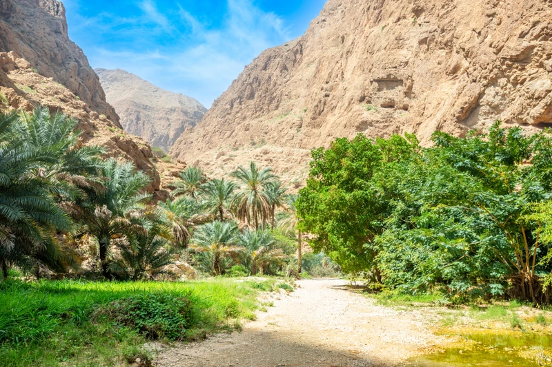 Фото отзыва 3: экскурсия "Из Маската — к оазису Вади-Шаб и воронке Бимма"