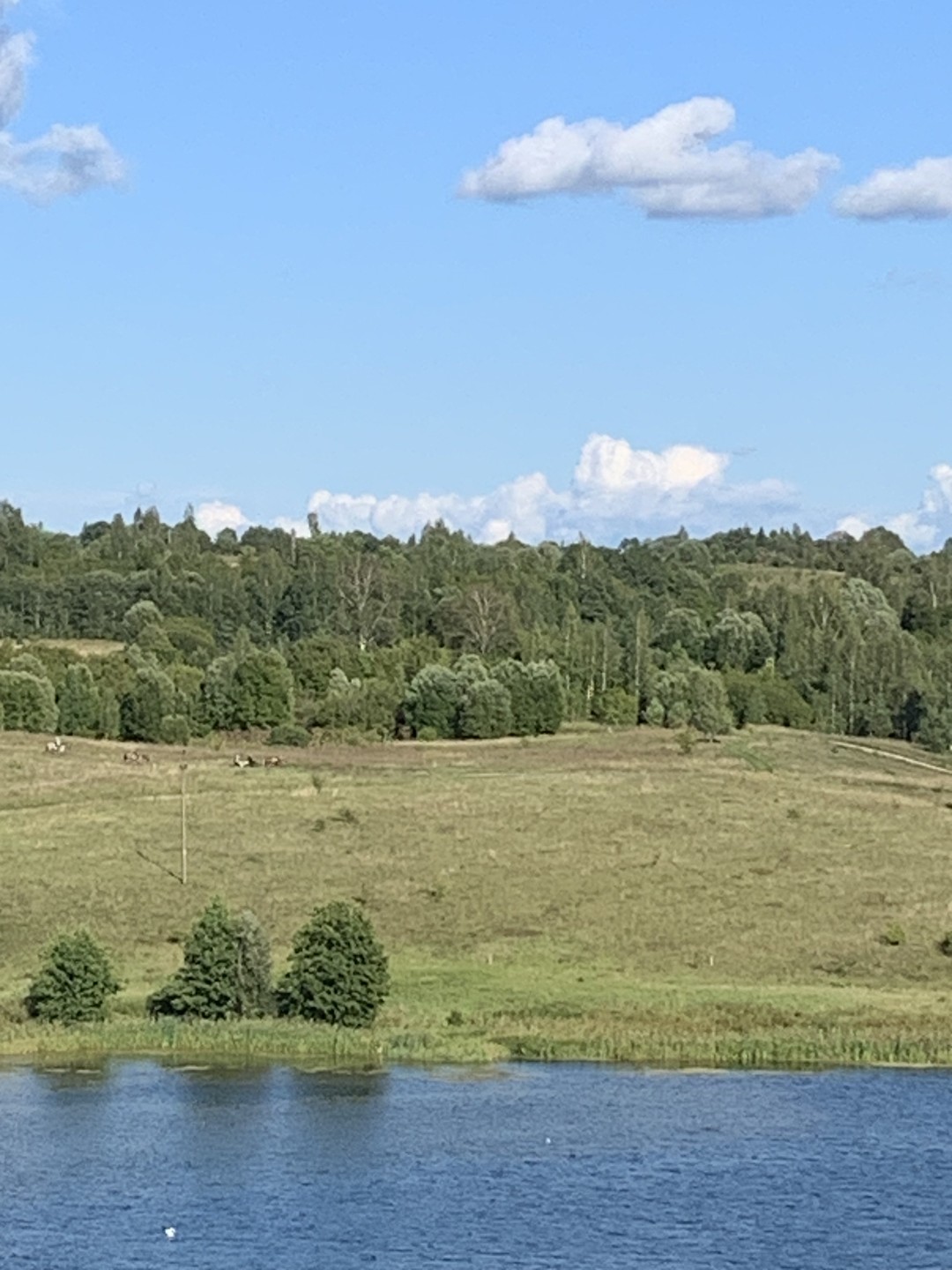 Изборск и Печоры: хранители древнего наследия (на вашем авто) (Елена)