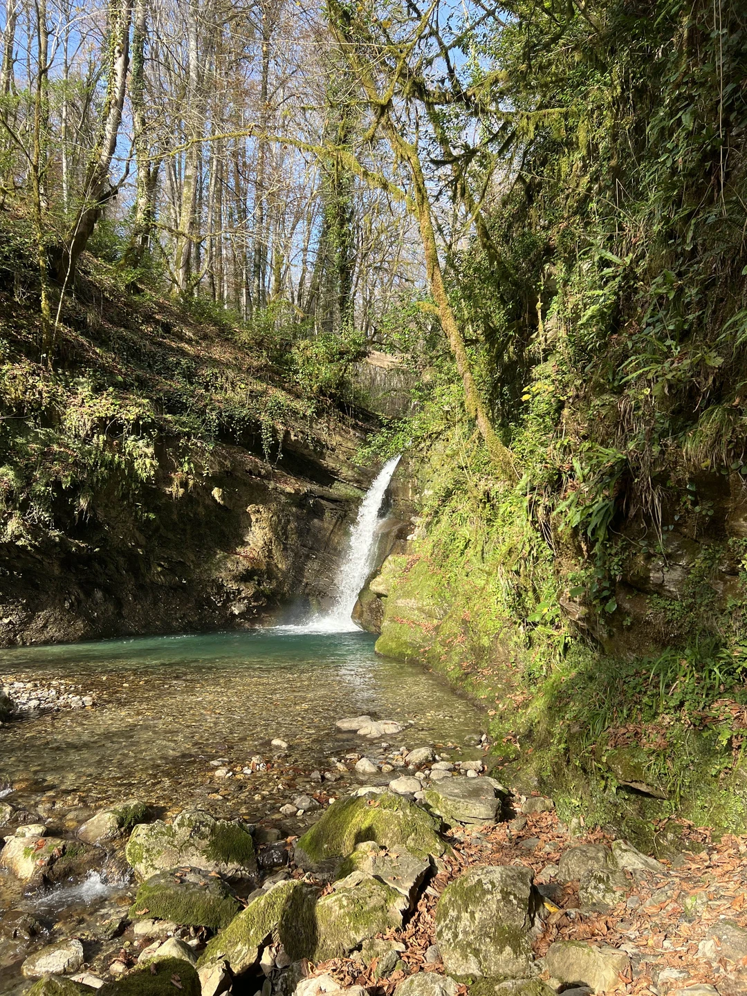 Прилетев в Сочи, очень захотелось посмотреть за пару тройку дней все и сразу🤣, и лучшим решением