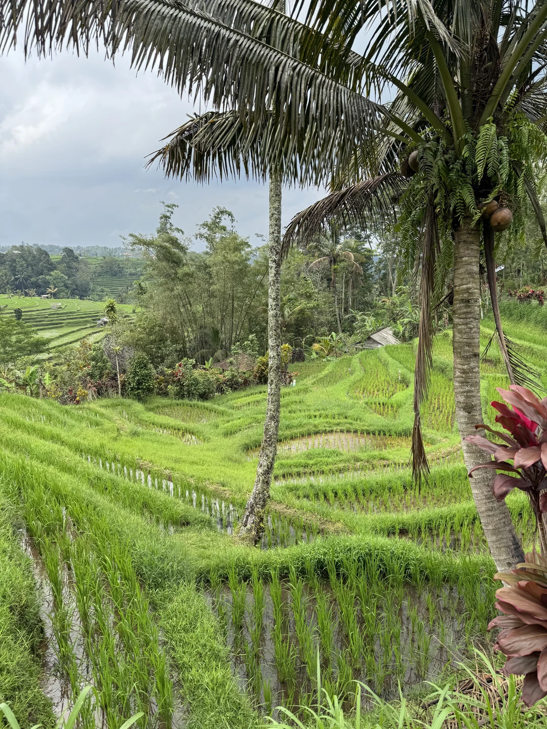 Потрясающая экскурсия. Гид Дви замечательный гид. Интересно рассказывает, круто фотографирует, показывает красивые места, сам по себе