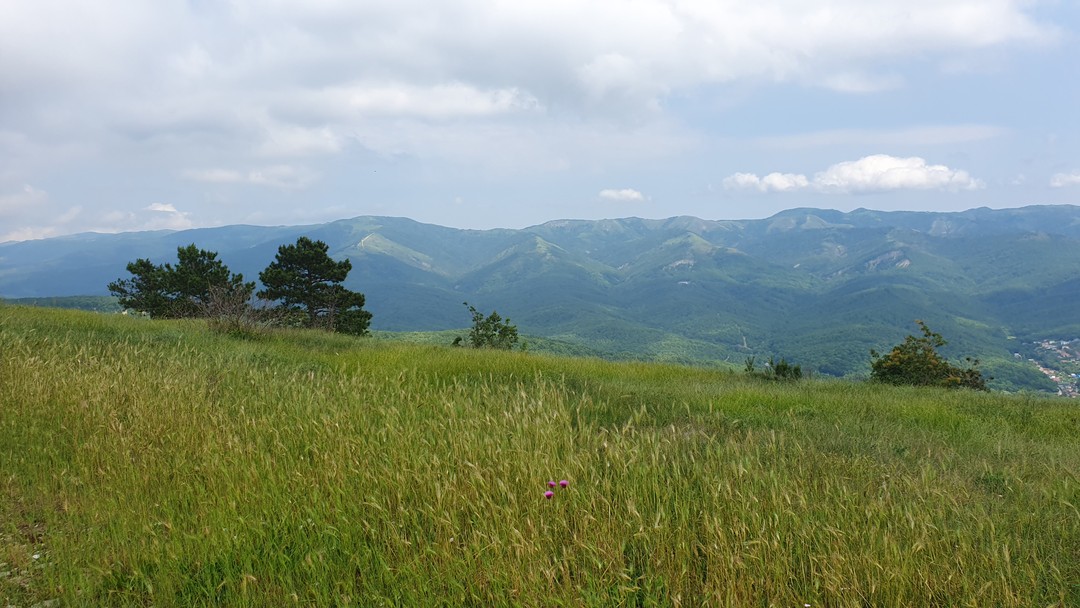 Интересная экскурсия. Маршрут не слишком сложный. Шли с 6-летним ребёнком, вполне нормально осилил. Местами жарковато. Нужна