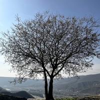 Фото отзыва 7: экскурсия "Древняя Мцхета, пещерный город Уплисцихе и дом-музей Сталина за 1 день! (из Мцхеты)"
