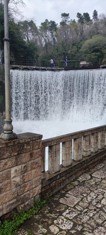 Новый Афон + Сухум (из Пицунды)