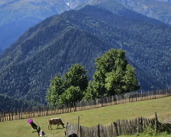 Подъём в горы вольной Сванетии