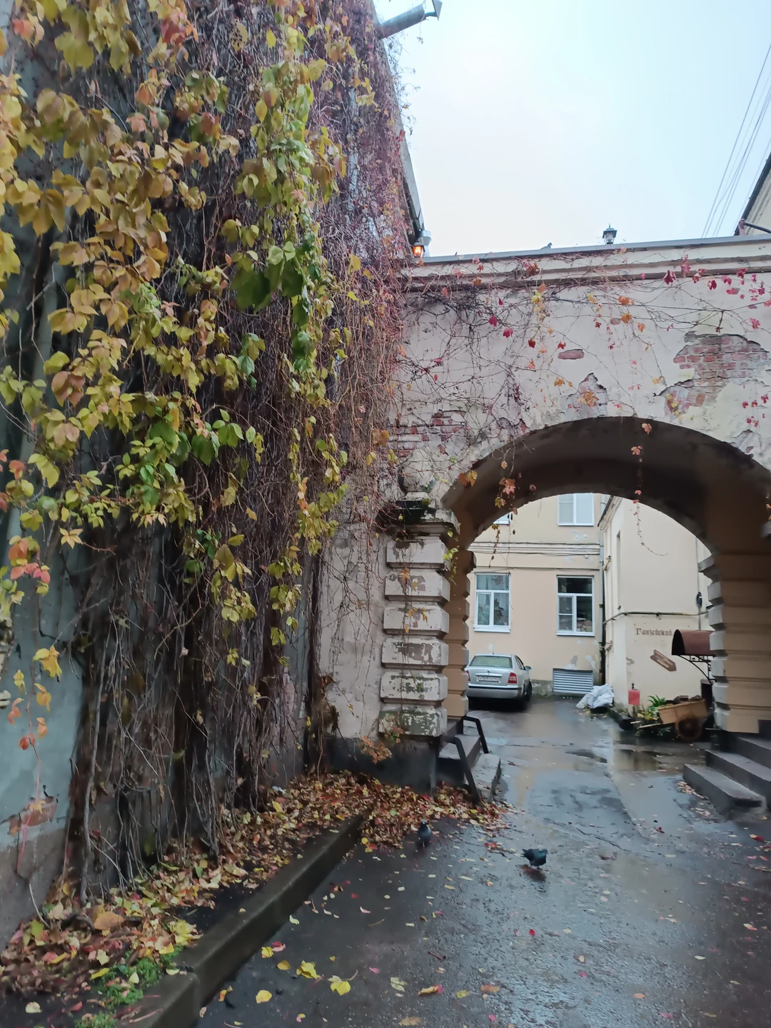 Большая обзорная прогулка по Выборгу (Анастасия)