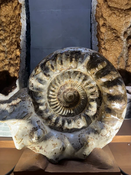 одна из лучших экскурсий,на которых я была. Полное погружение в культуру Бали ❤️ Огромная благодарность нашему гиду Джулии - это было незабываемо 🙏🏻