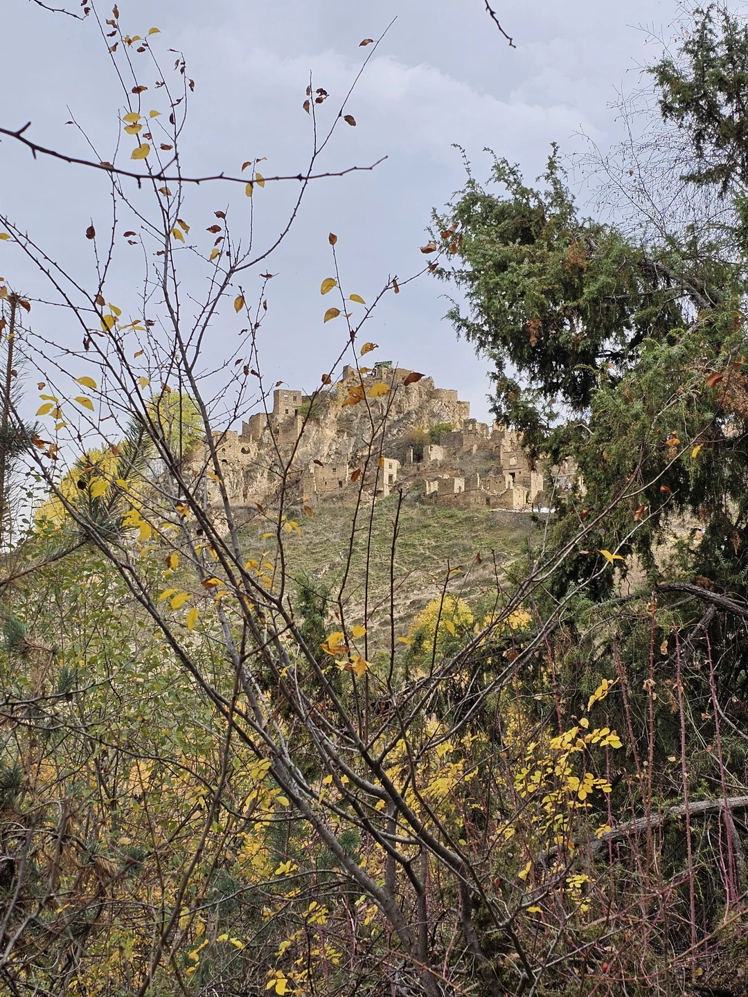 Здравствуйте!