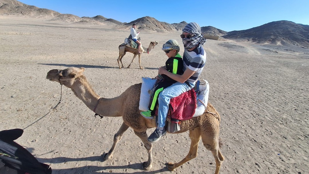 Читая отзывы об этом мероприятии (экскурсией это не назовёшь), на многое не рассчитывали, но бюджетно почему