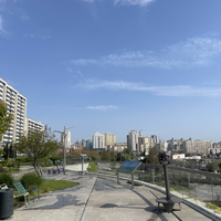 Фото отзыва 3: экскурсия "По городским паркам — на самокате"