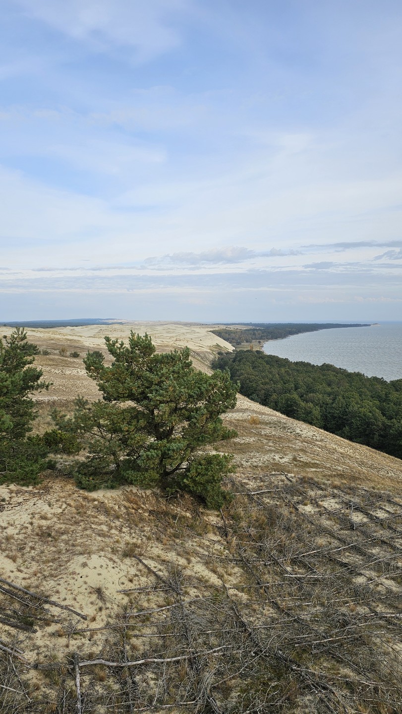 Комфортная поездка на Куршскую косу (Гульшат)