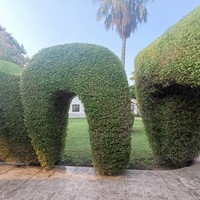 reviews img