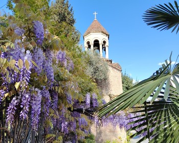 Гамарджоба, Грузия