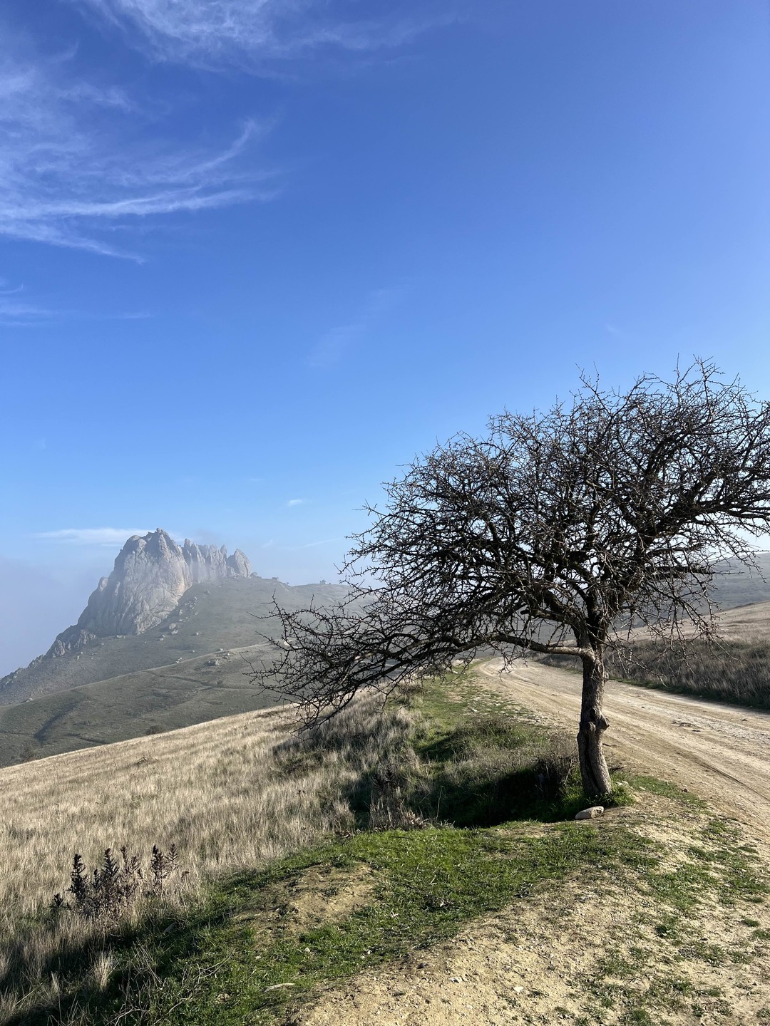 Мы приехали с мужем и дочкой в Баку на пару дней, познакомиться с городом. В первый