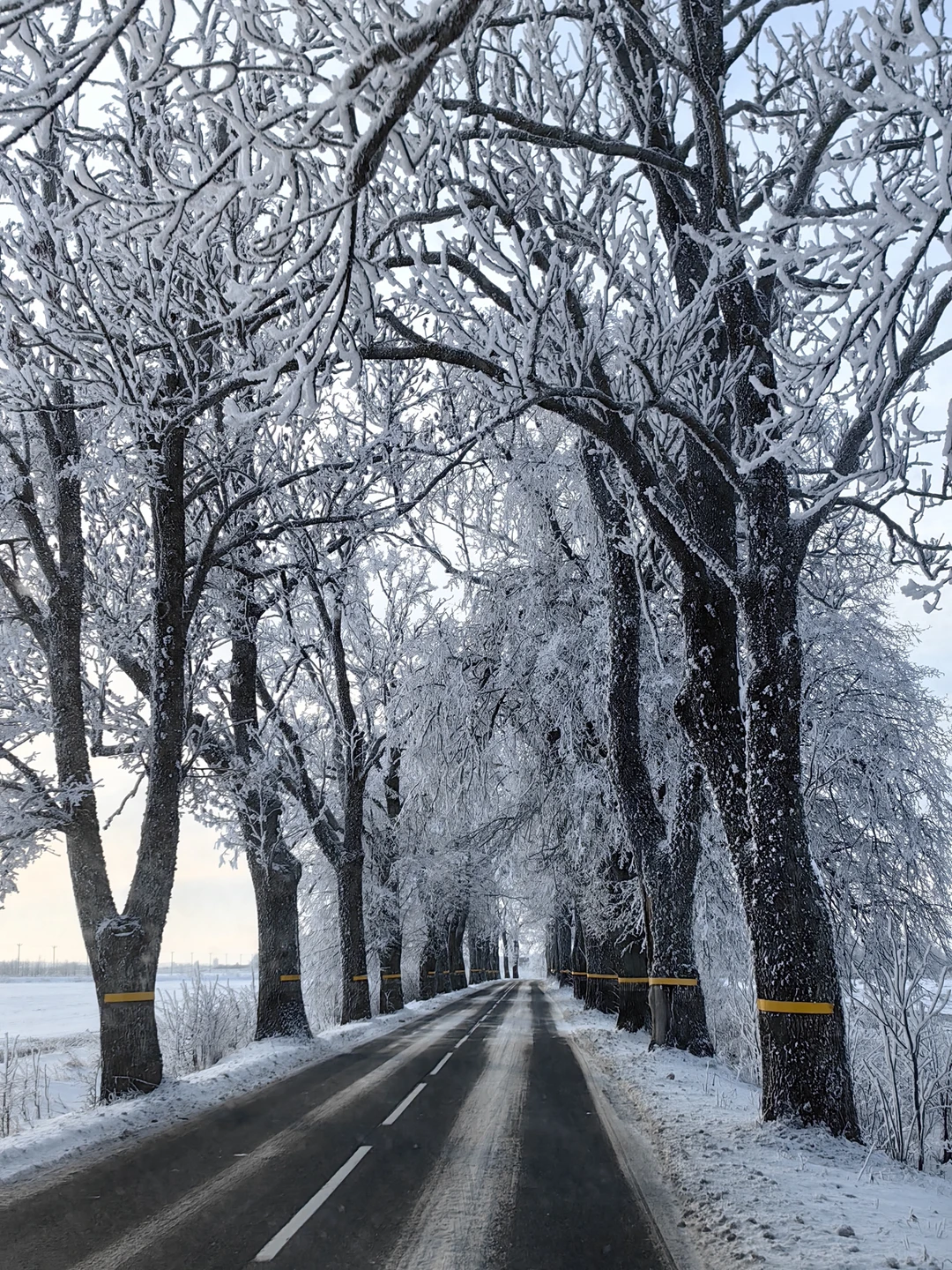 Очень необычная экскурсия 💯,яркая познавательная и вкусная. Ещё долго будем рассказывать друзьям об этом путешествии,да и