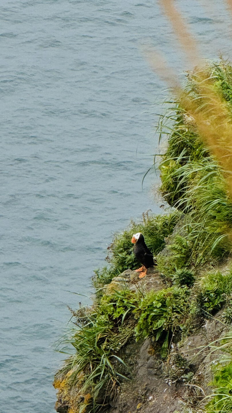 Дорогие организаторы экскурсии, примите пожалуйста нашу благодарность за прекраснейший день знакомства с потрясающей воображение природой Камчатки