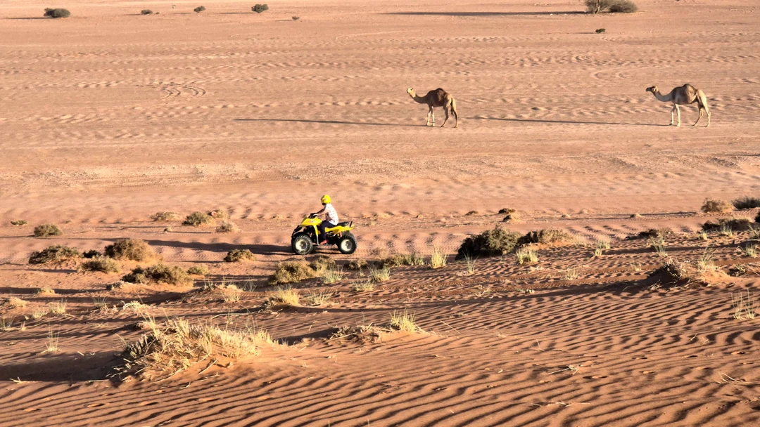 Нашу экскурсию проводил гид Павел. Всё прошло замечательно. Пустыня-самое интересное и красивое место, обязательно стоит взять
