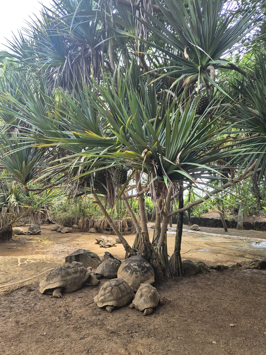 Все прошло отлично! Гид Мария, с прекрасным чувством юмора, показала много разных интересных мест, популярных среди