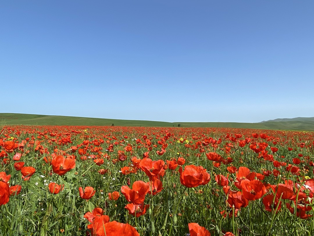 Гранд-Каньон в миниатюре (Мария)