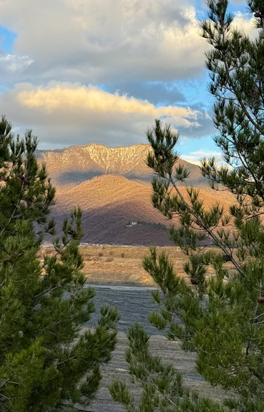 Экскурсия очень понравилась, Гоча много и с удовольствием рассказывает про историю, виноделие и интитут тамады в