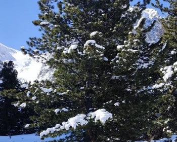 Замёрзшие водопады и Гейзерное озеро
