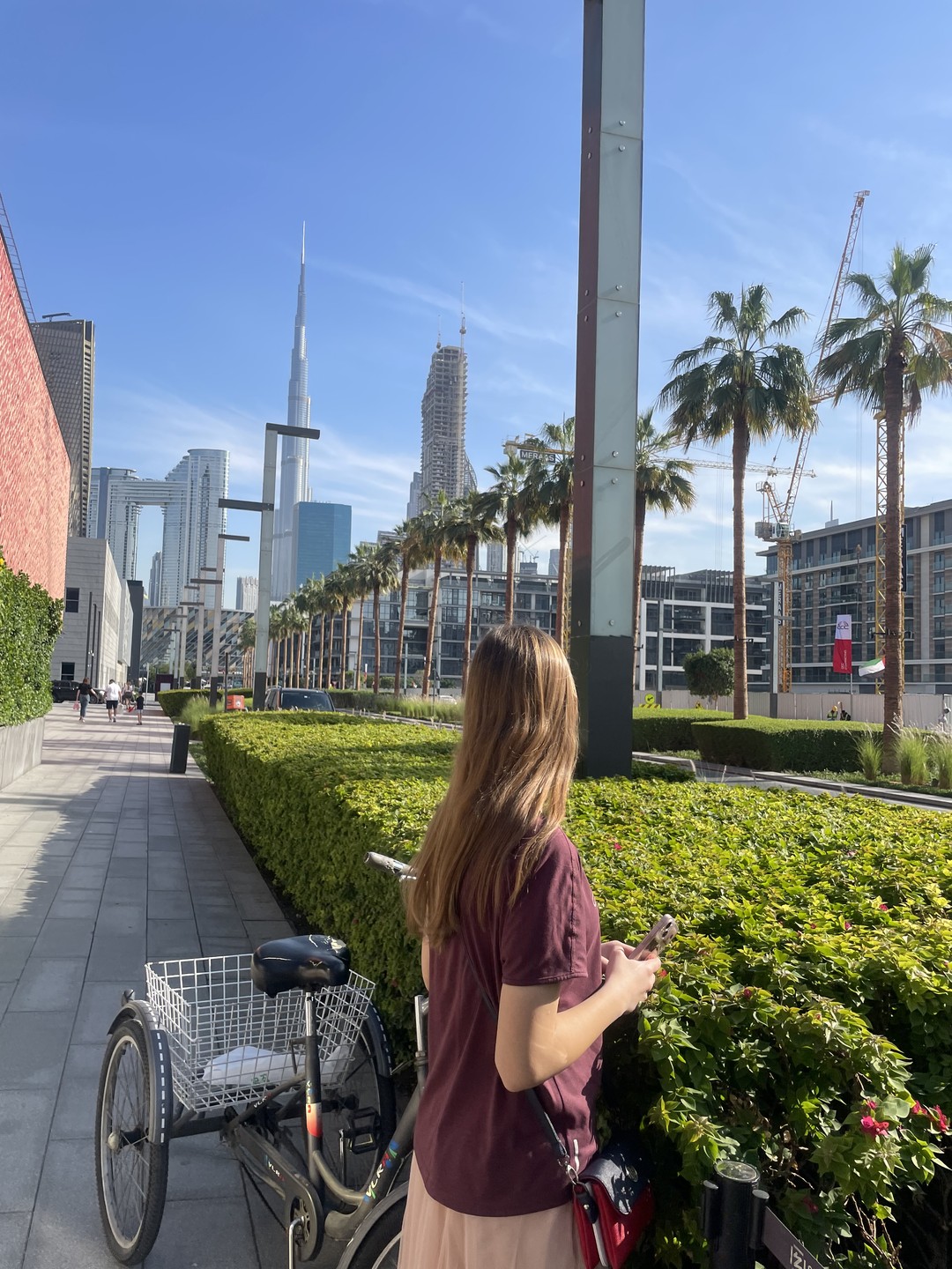 Роскошный день в Дубае (Марина)