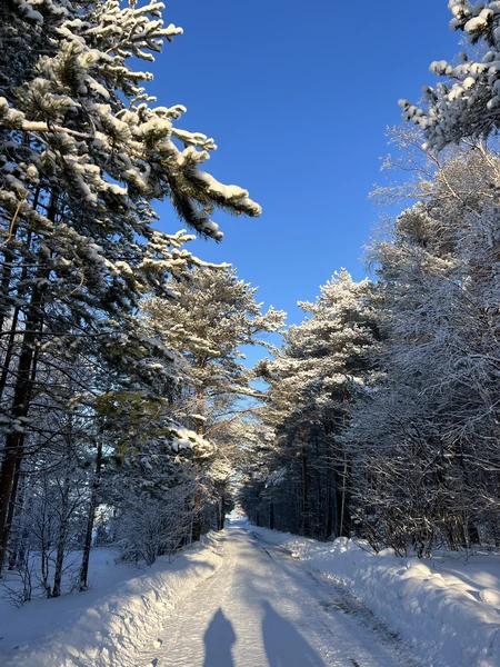 Были в конце января 2026.